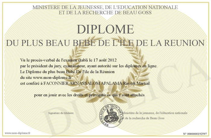 diplome universitaire a la reunion